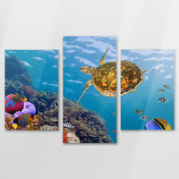 AL-120T080