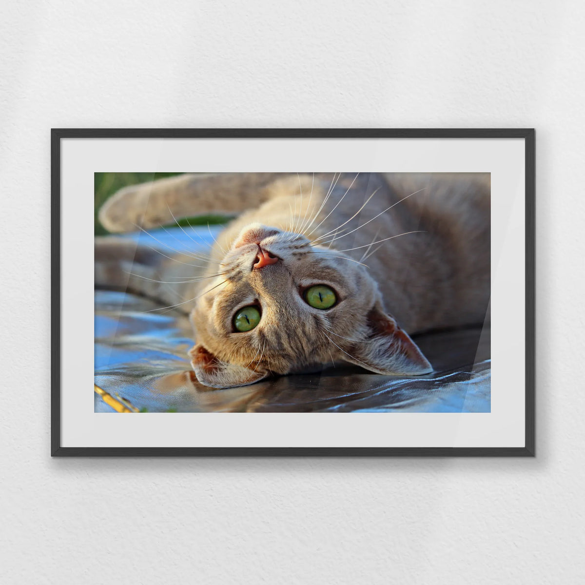 PKP093W062