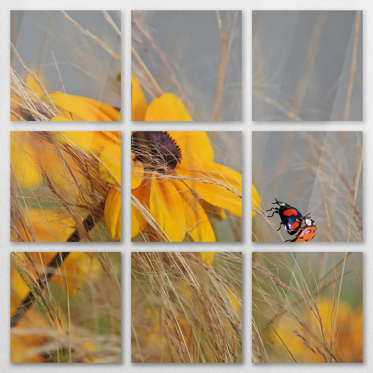 AC-120Z120