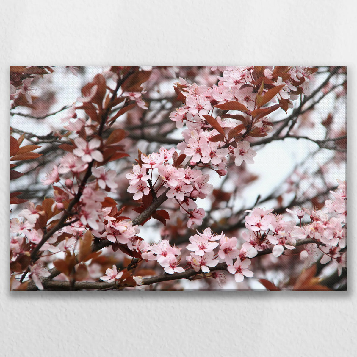 LW-075W050