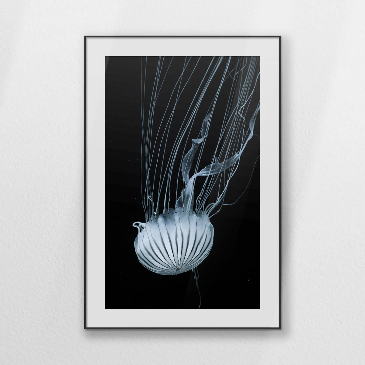 PBP080W120