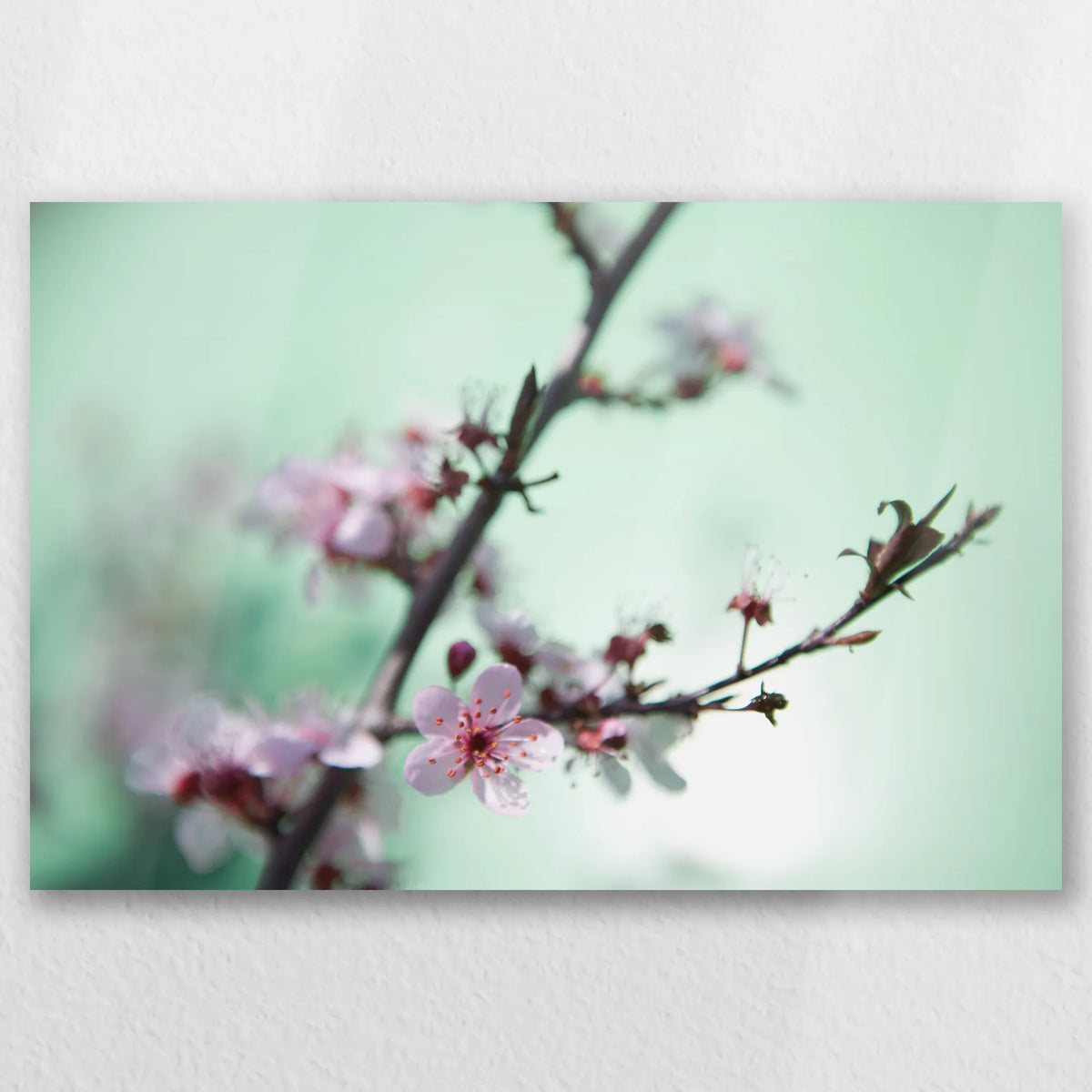 AL-030W020