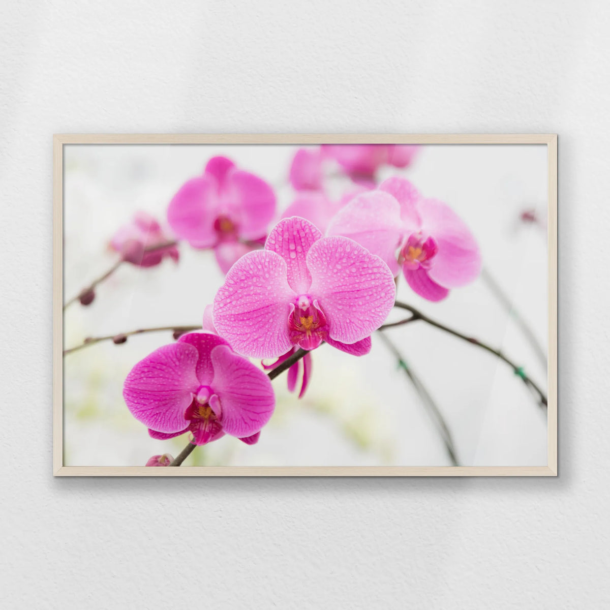 PN-093W062