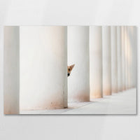 AL-075W050