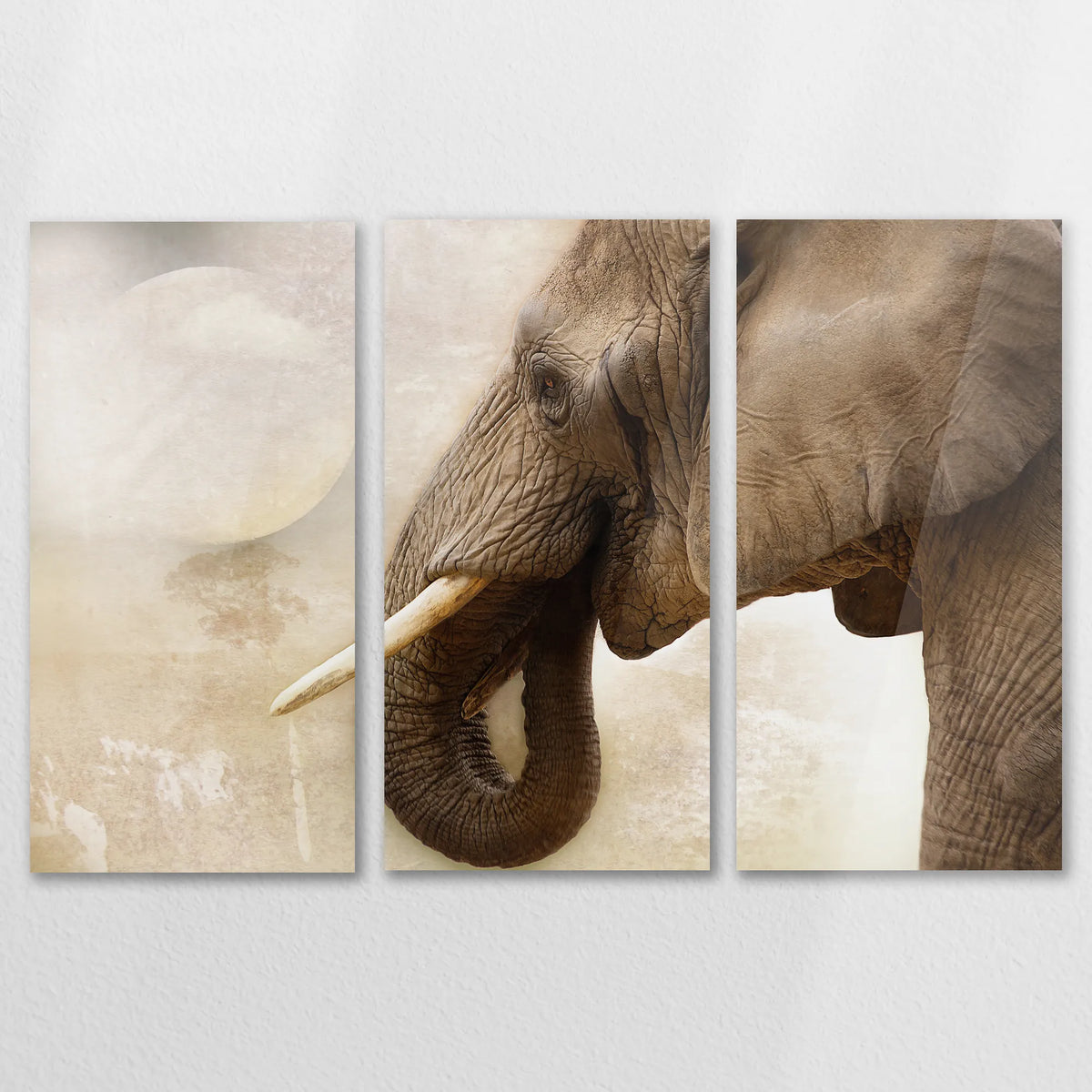 AC-150R100