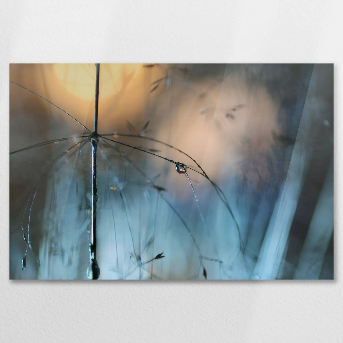 AC-075W050