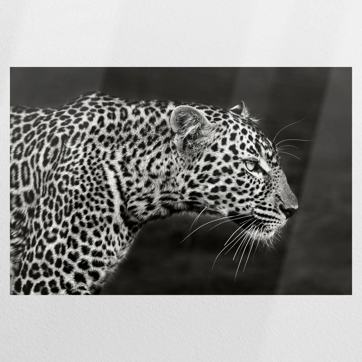 PO-090W060