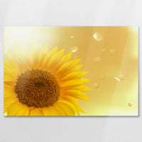 AC-075W050