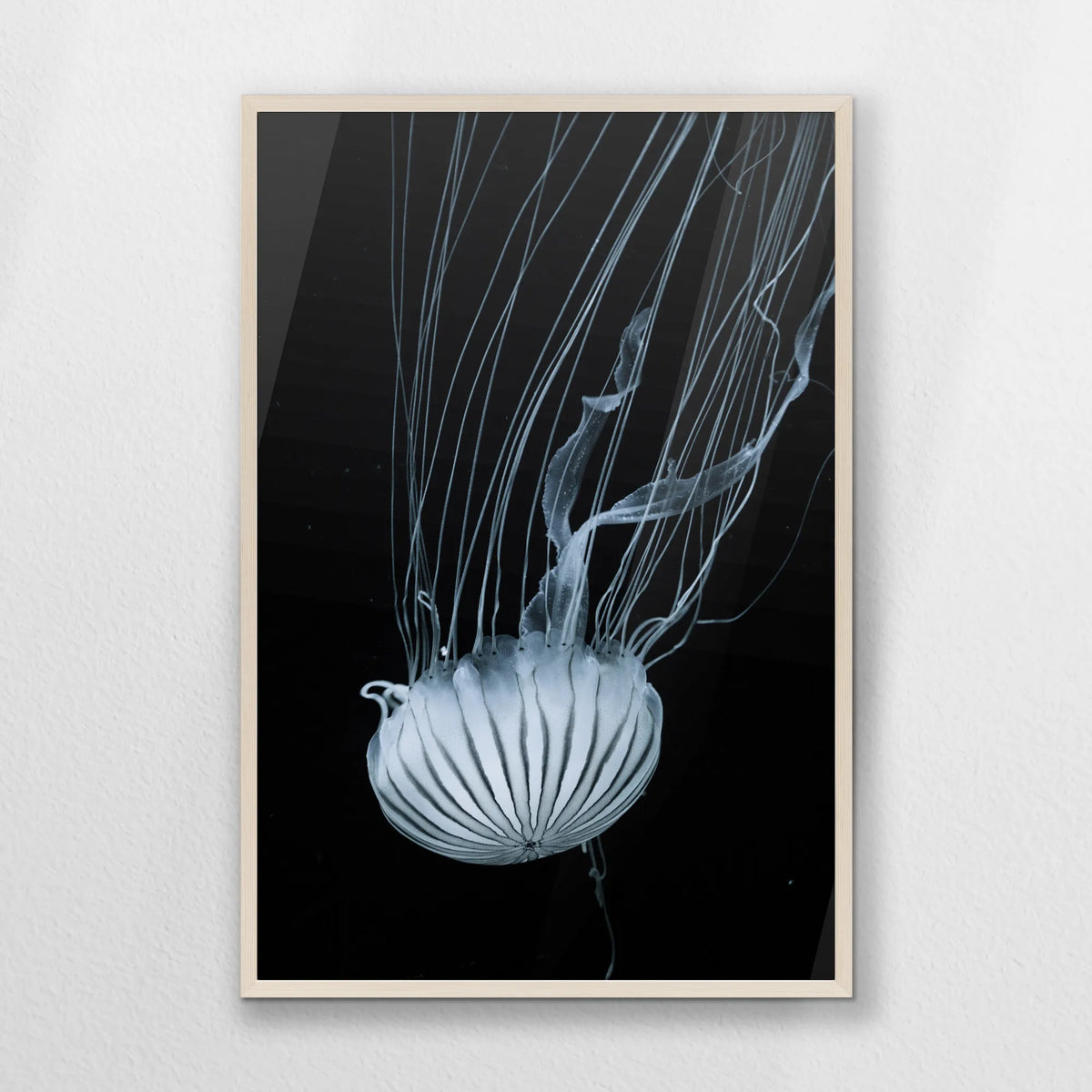 PN-062W093