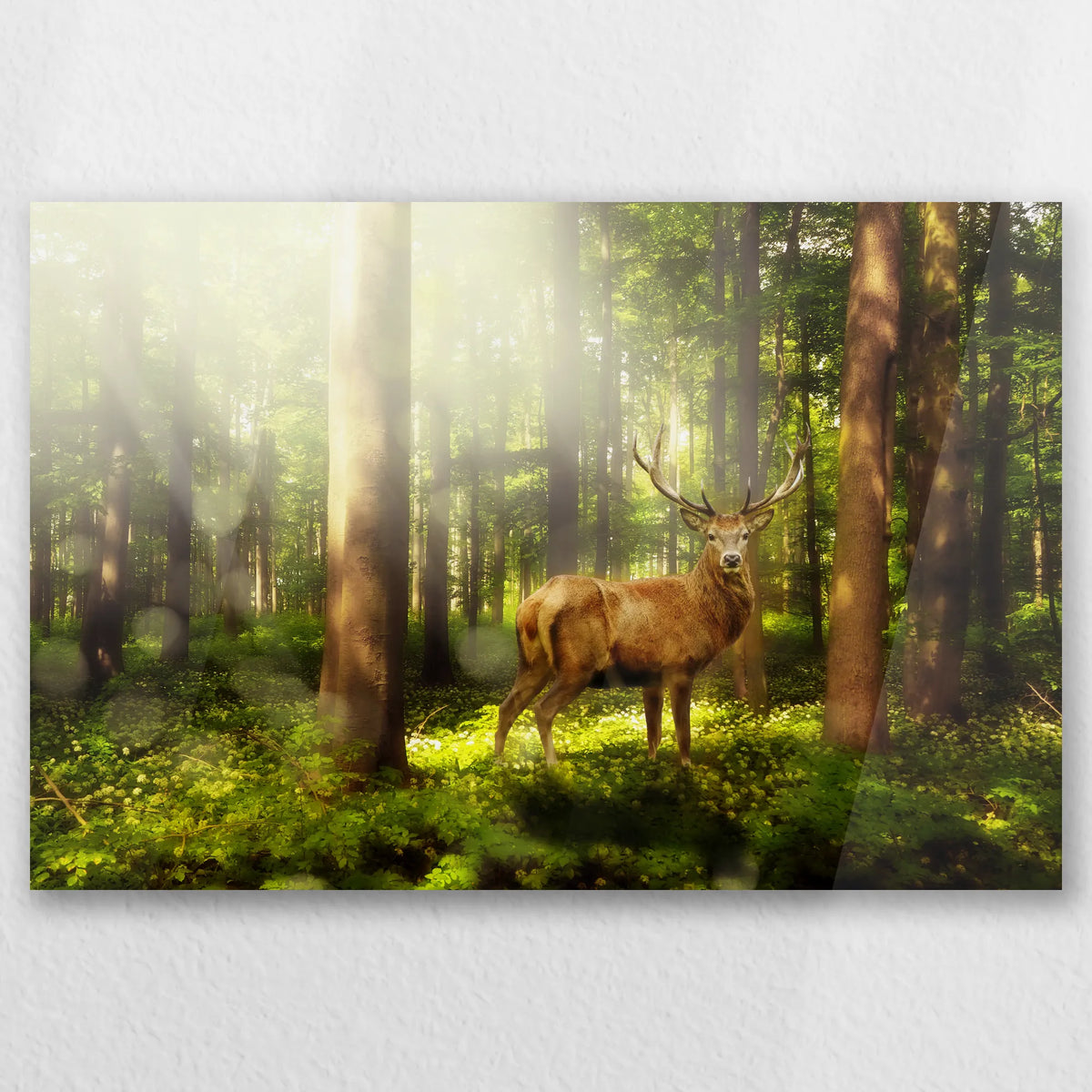 AC-030W020