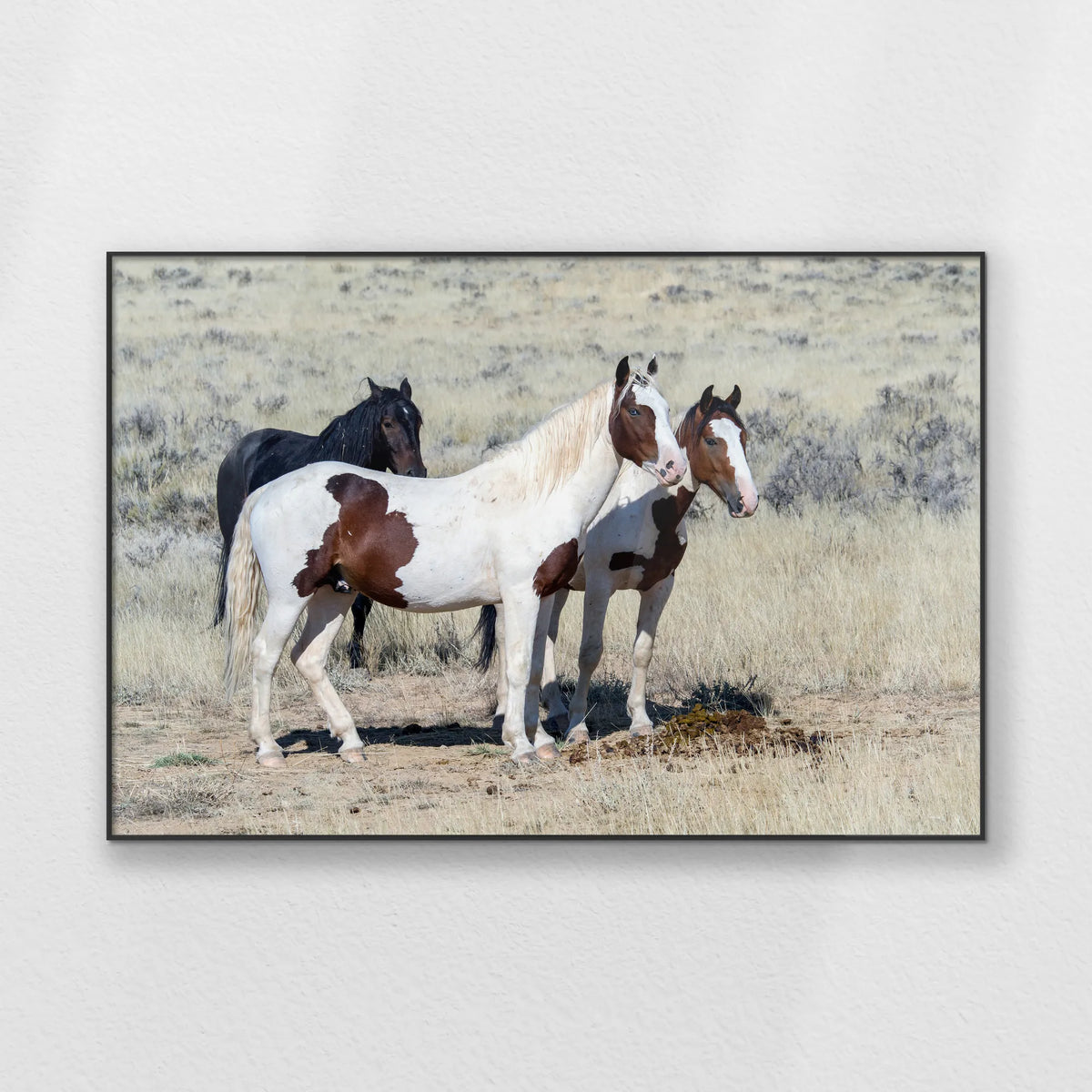 PB-120W080
