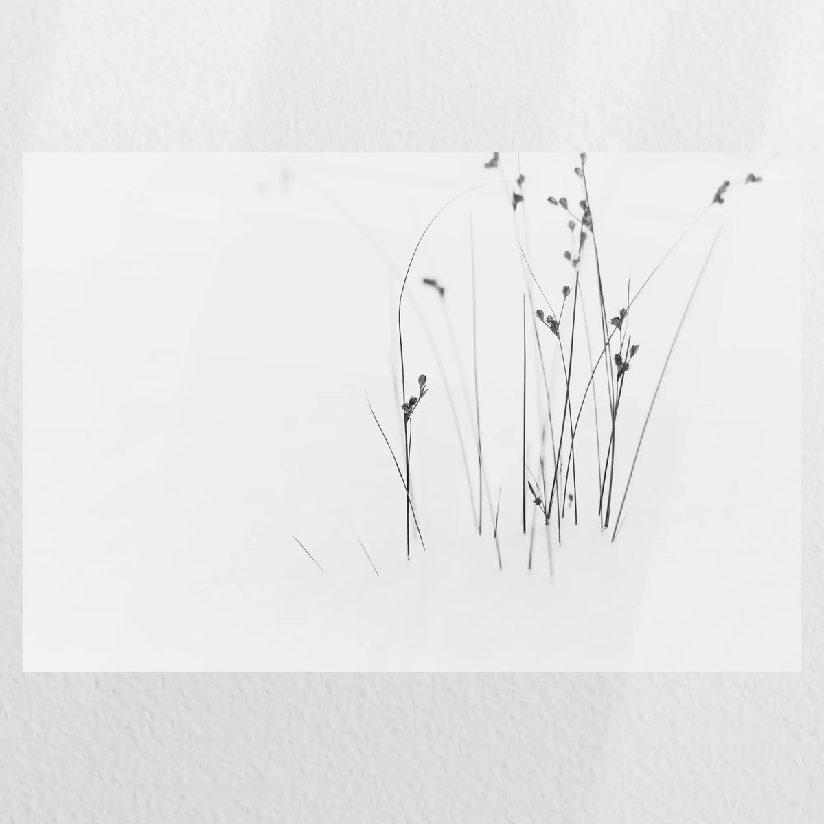 PO-045W030