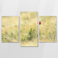 AC-150T100