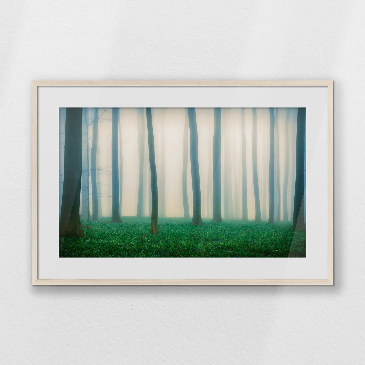 PNP093W062