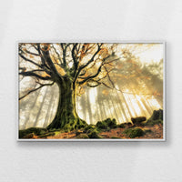 LWW120W080