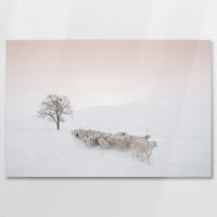 AC-090W060