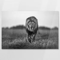 AL-090W060