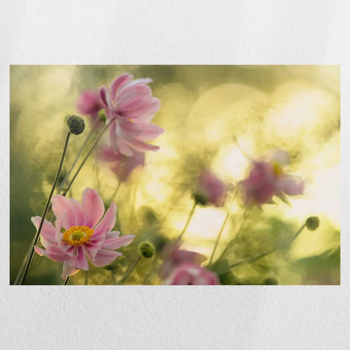 PO-030W020