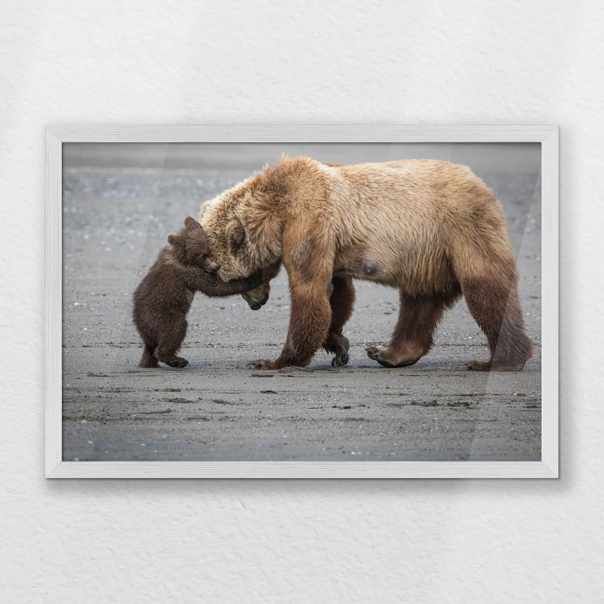 PW-060W040