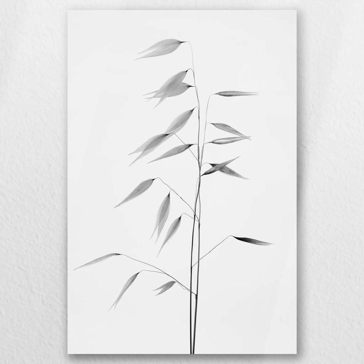 AC-050W075