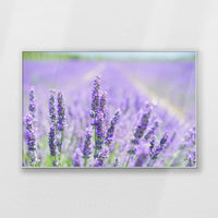 PS-120W080
