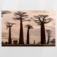PO-060W040