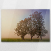 AC-045W030