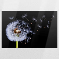 PO-060W040