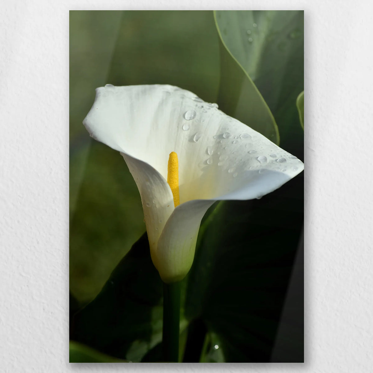 AL-020W030