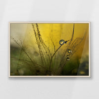 PN-093W062