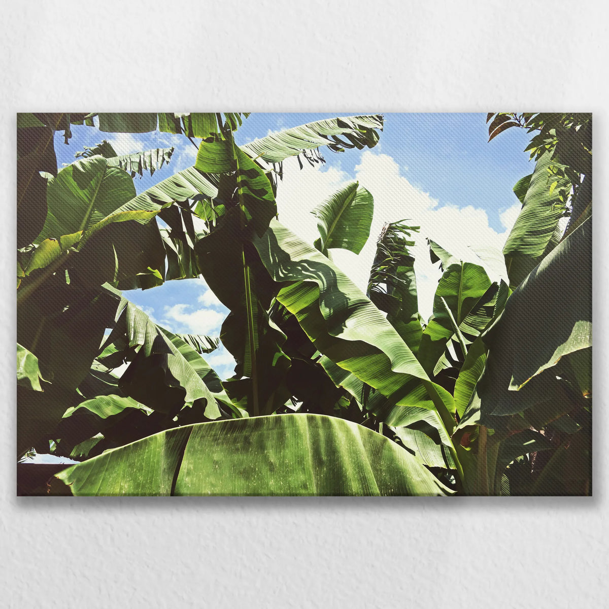 LW-075W050