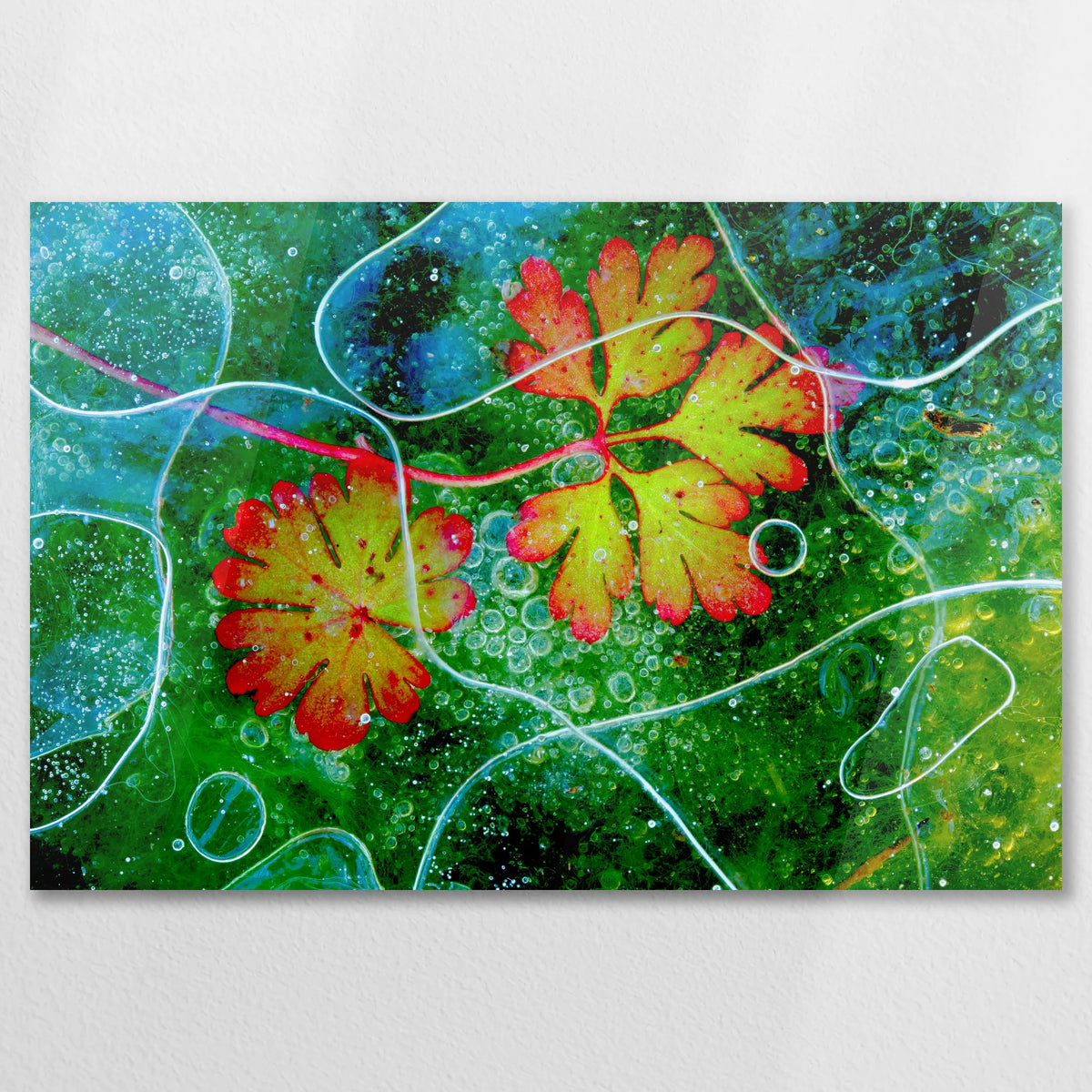 AC-075W050