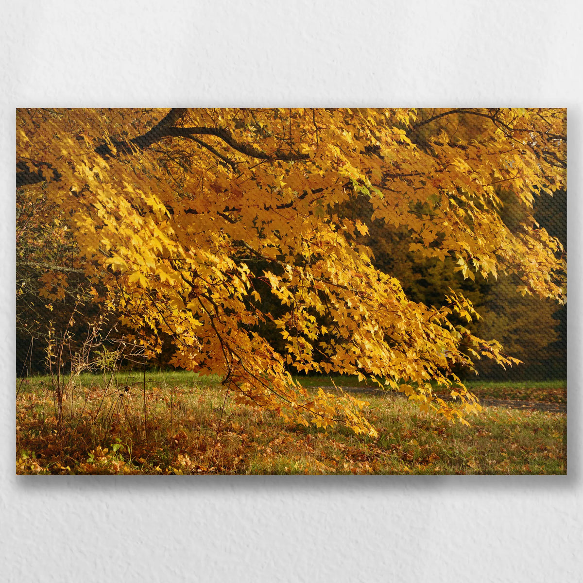LW-030W020