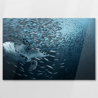AC-090W060