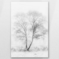 AC-050W075