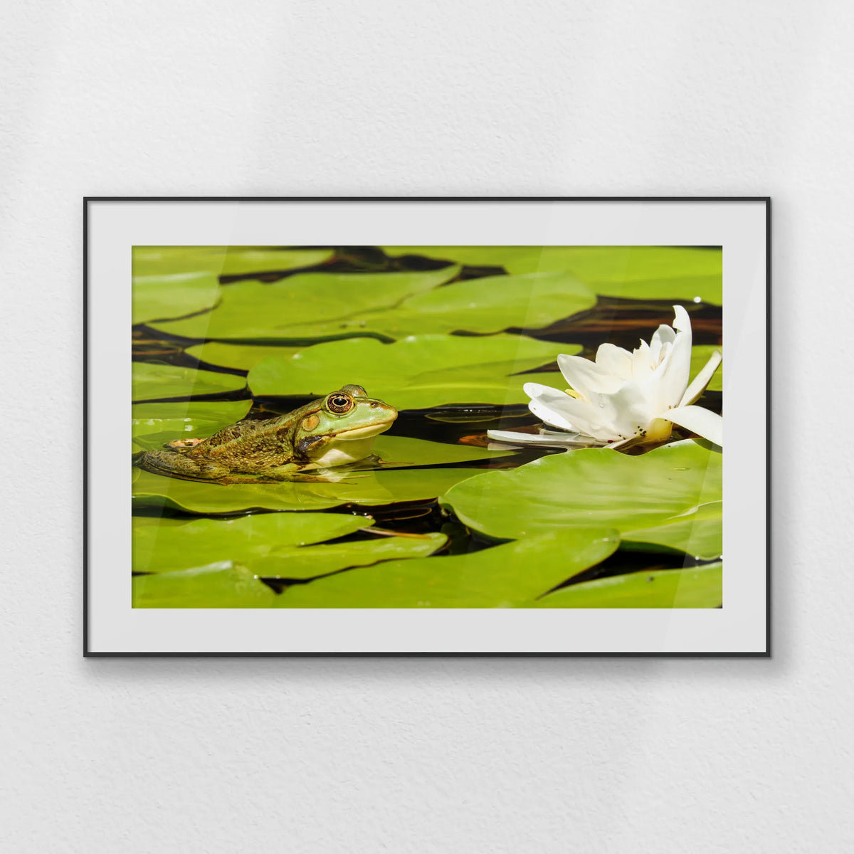 PBP120W080
