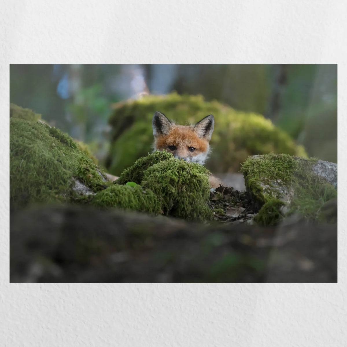 PO-060W040
