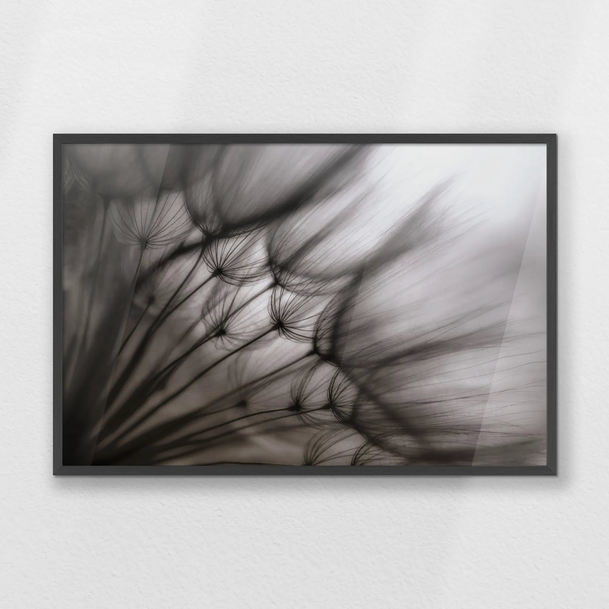 PK-093W062
