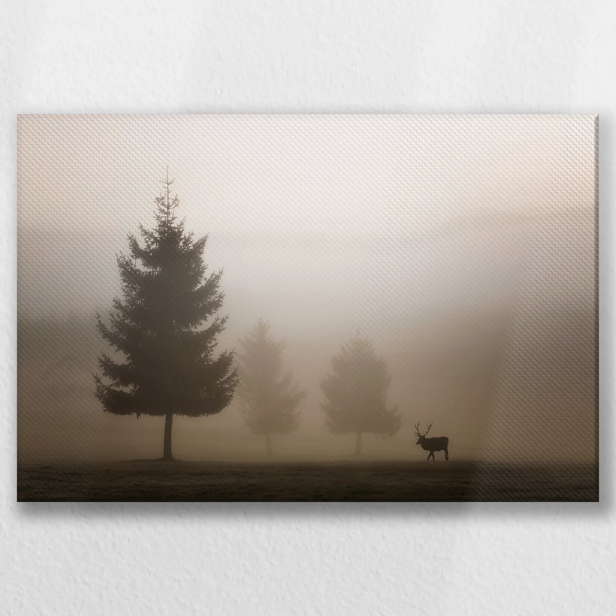 LW-045W030