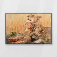 PB-100W070