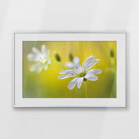 PSP093W062
