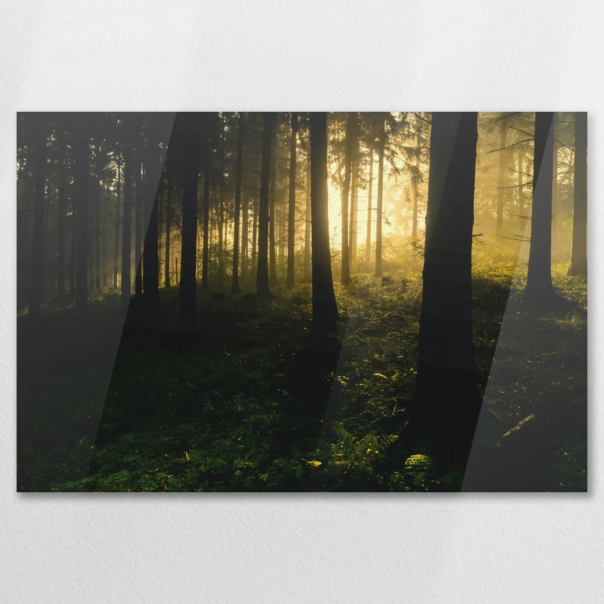 AC-075W050