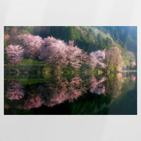 PO-090W060