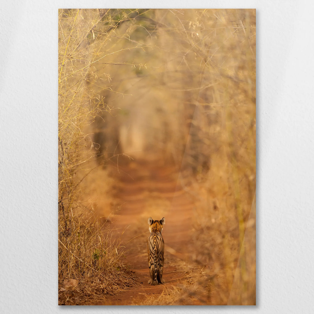 AC-060W090