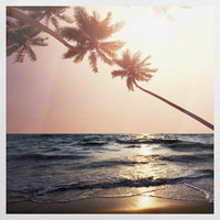 PO-070W070