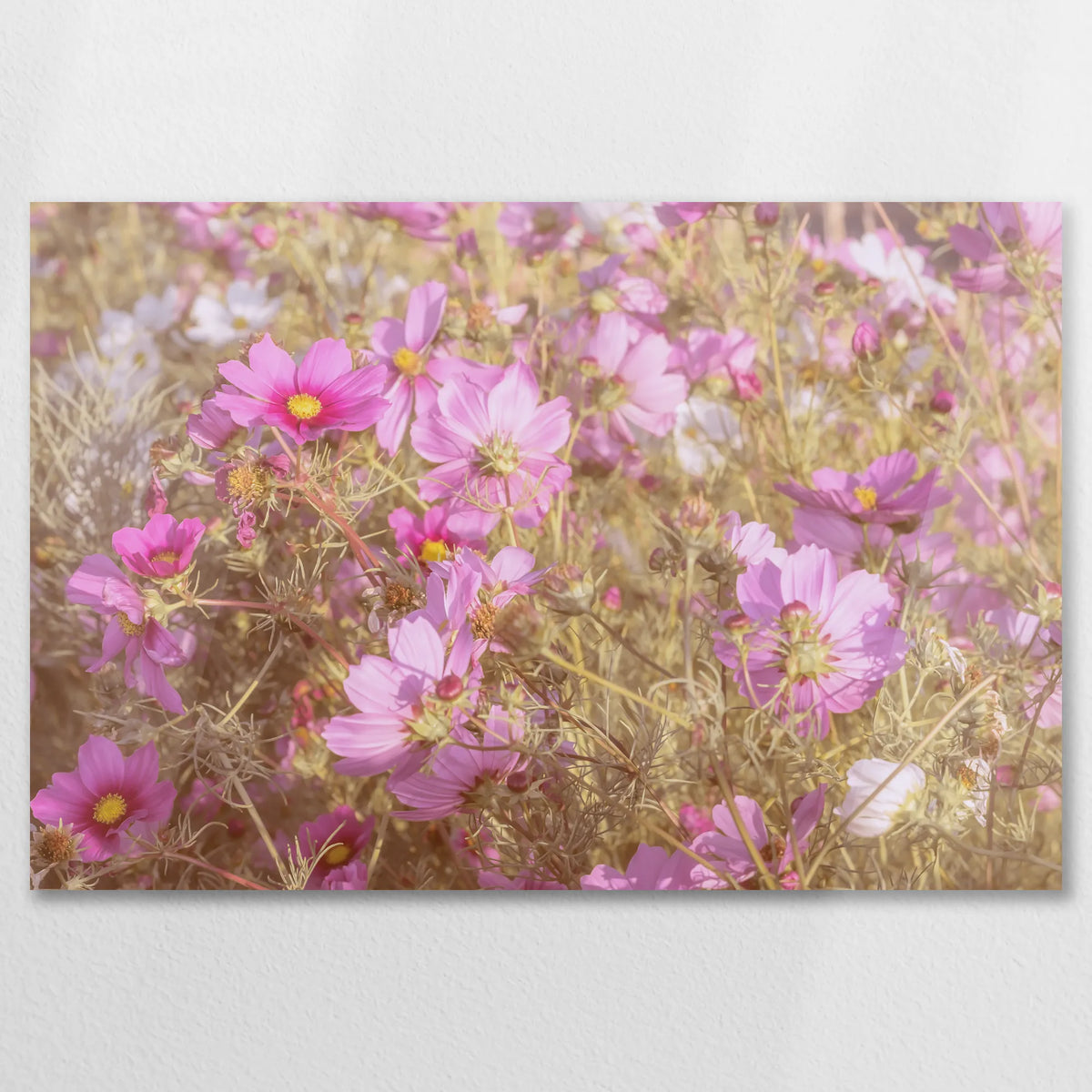 AC-075W050