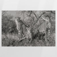 PO-120W080