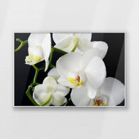 PS-093W062