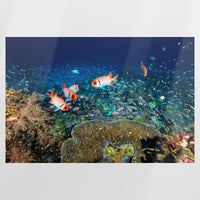 PO-075W050