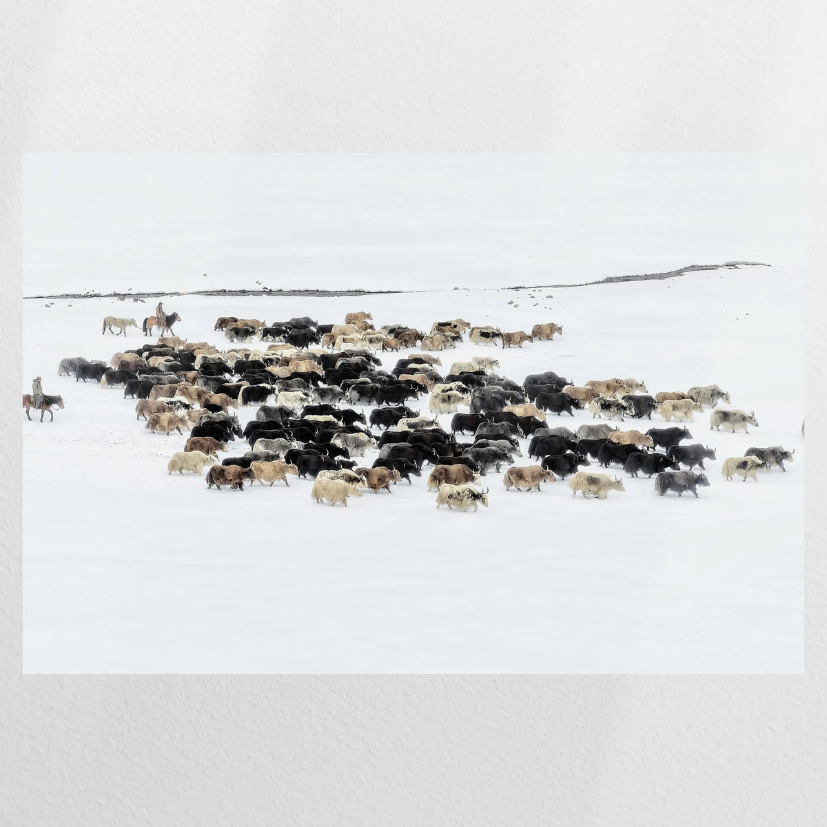 PO-120W080